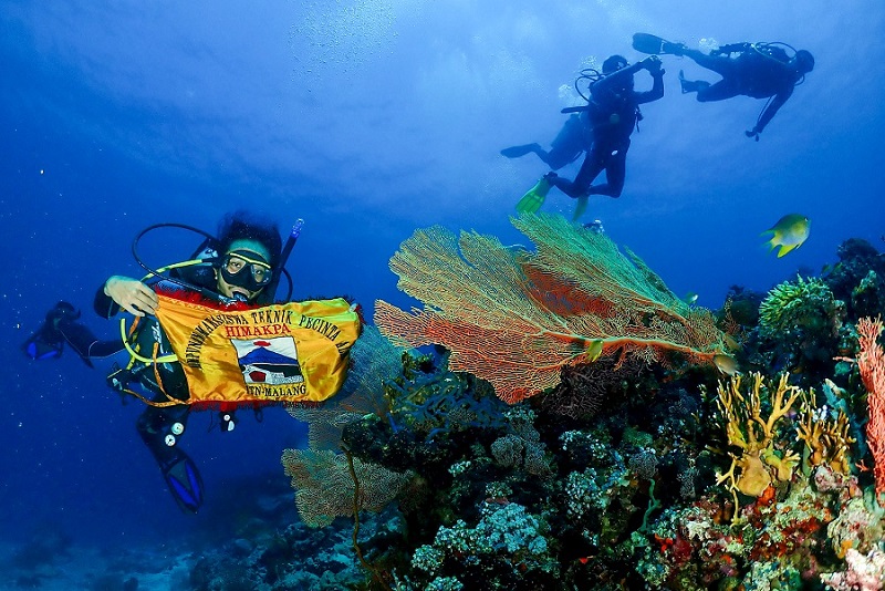 Ardany Malikal Fauzan membentangkan bendera Himakpa ITN Malang di bawah laut Taman Nasional Bali Barat, Pulau Menjangan